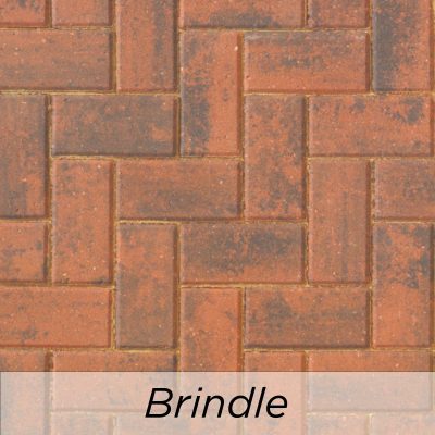Omega Brindle Block Paving - Diamond Driveways